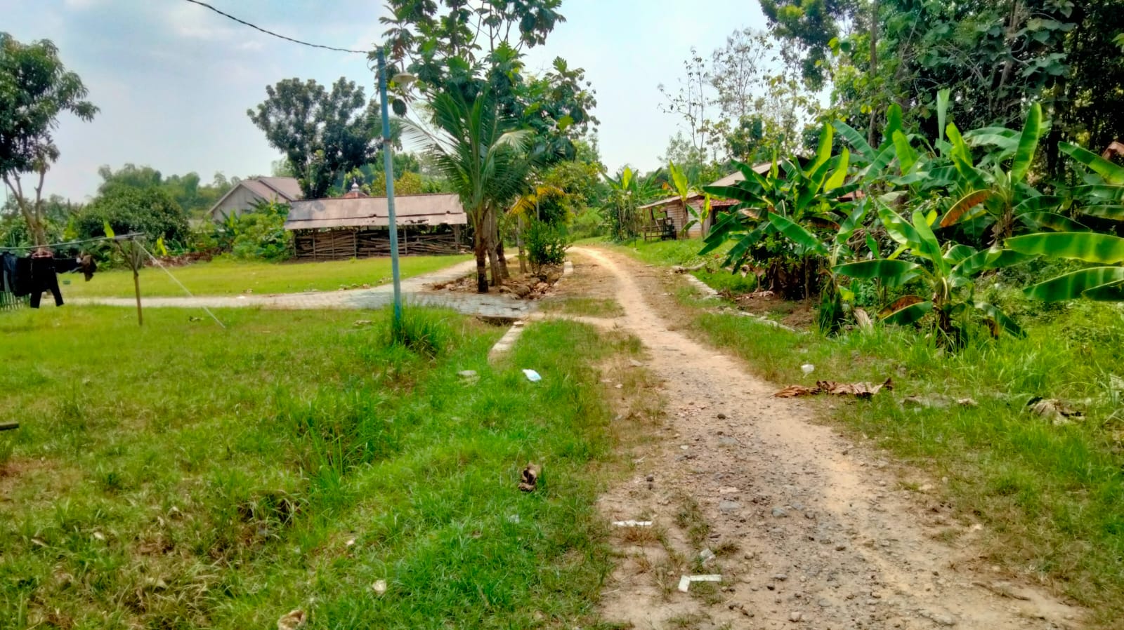 Lahan 5
